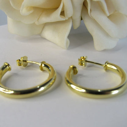 Brinco Argola Grossa Pequena Banhado em Ouro 18k